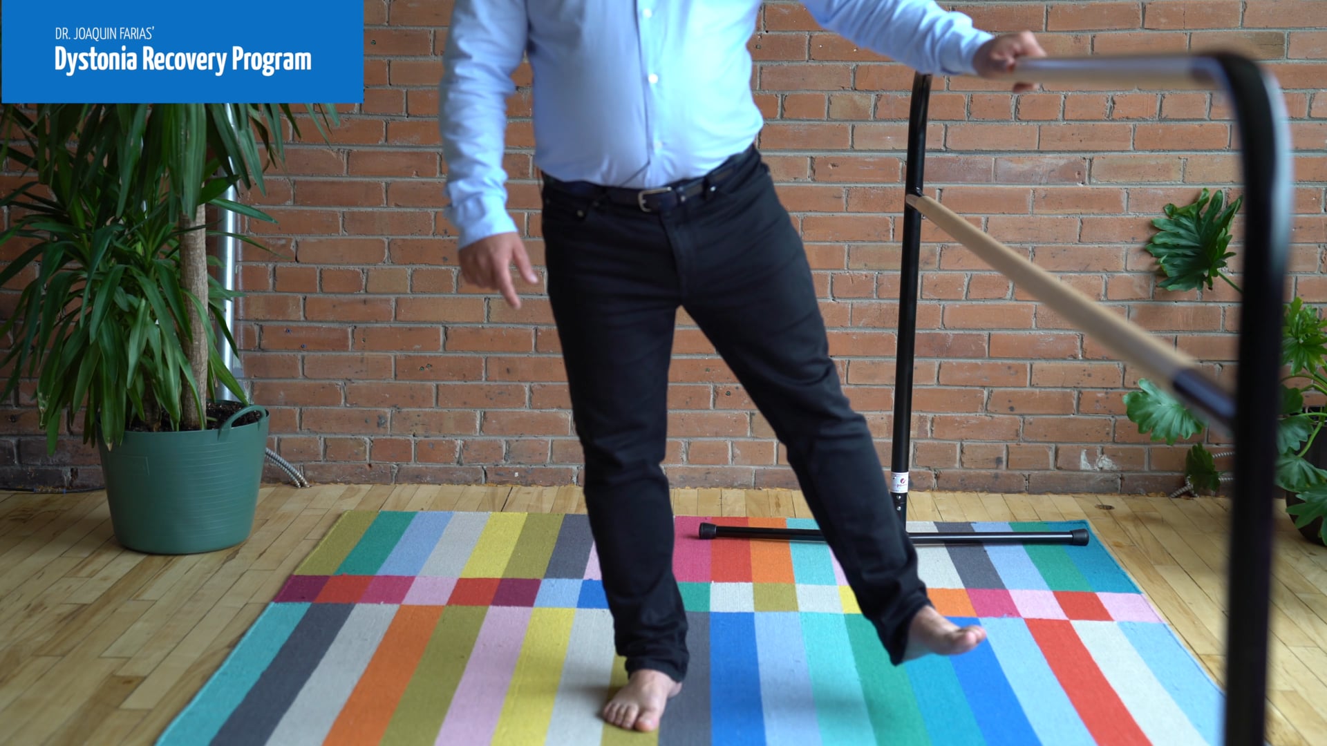 Hip exercises Dystonia Recovery Program